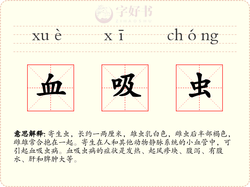血吸虫