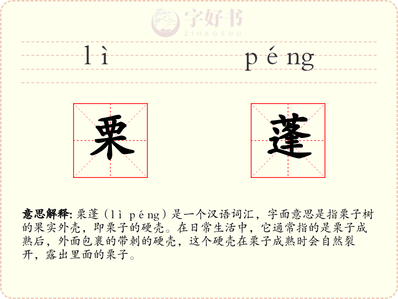 栗蓬