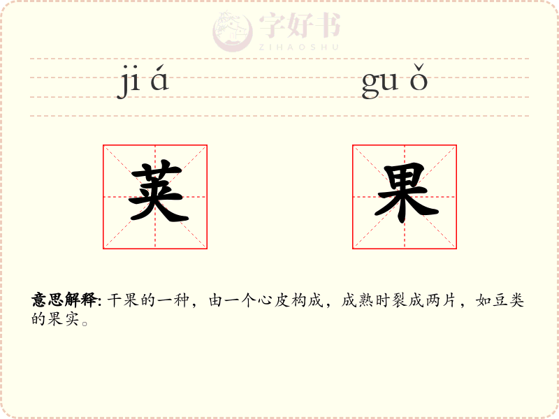 荚果