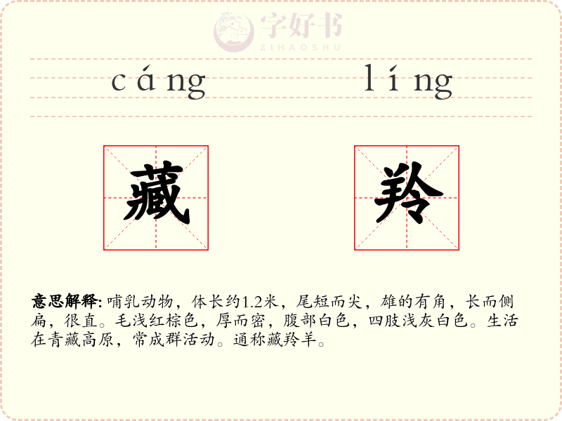 藏羚