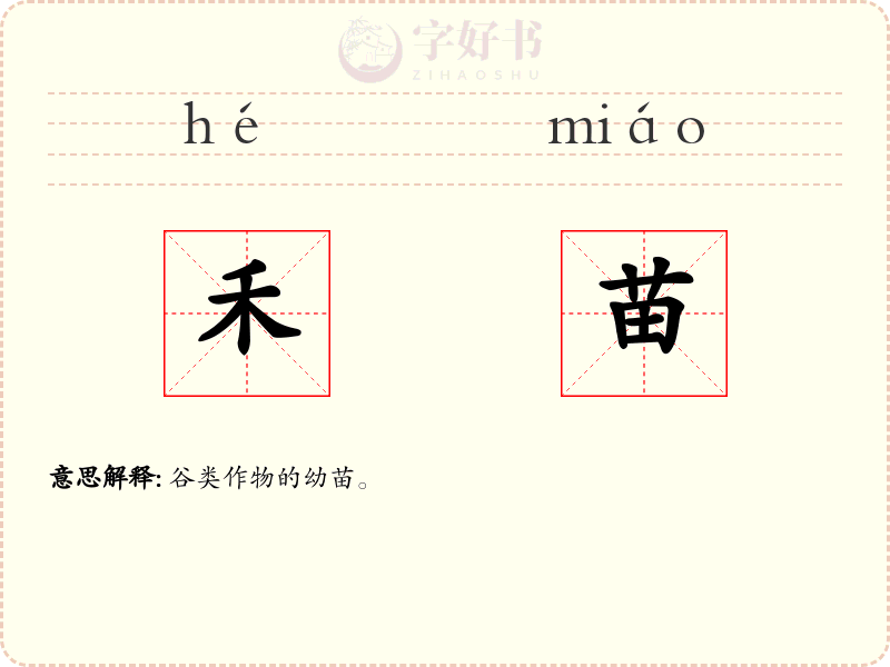 禾苗