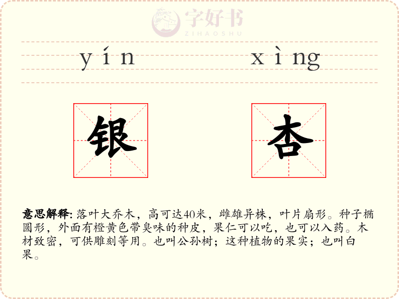 银杏
