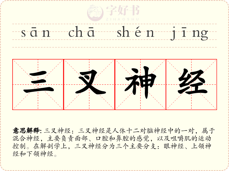 三叉神经