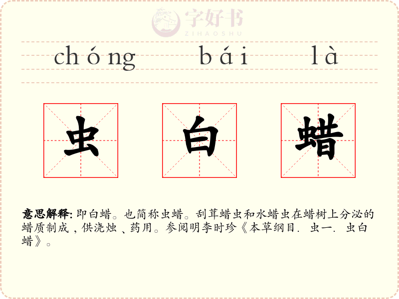 虫白蜡
