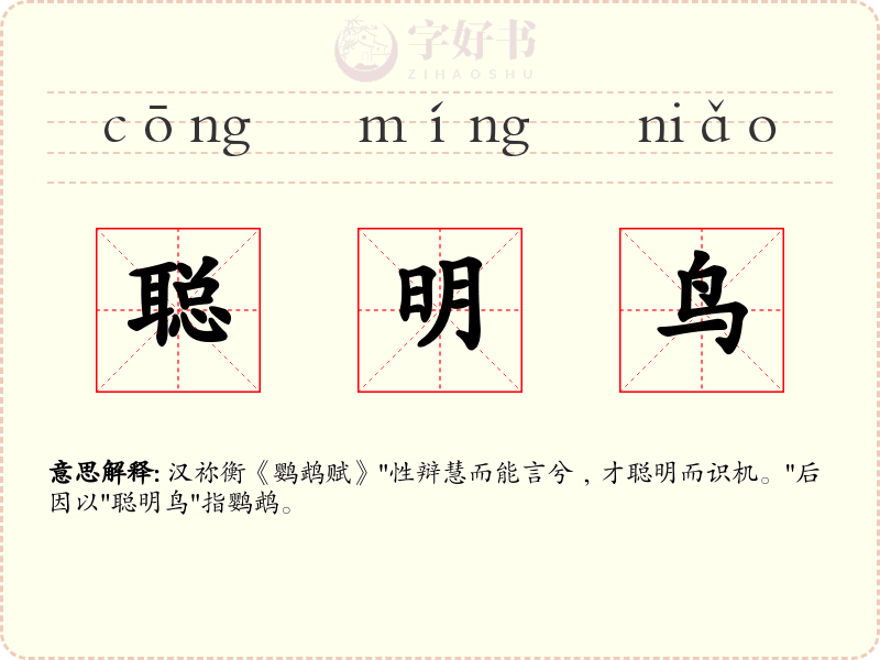 聪明鸟