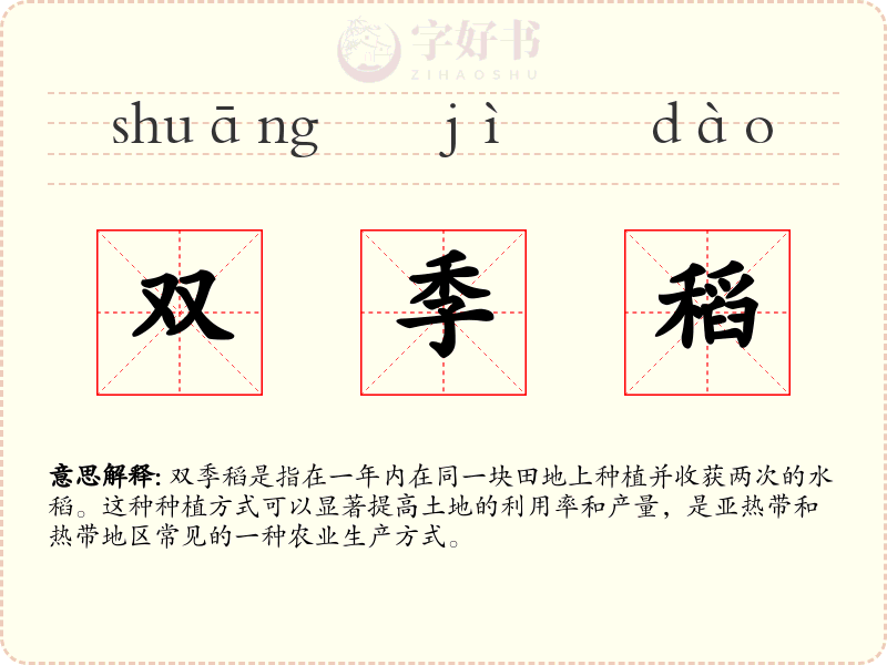 双季稻
