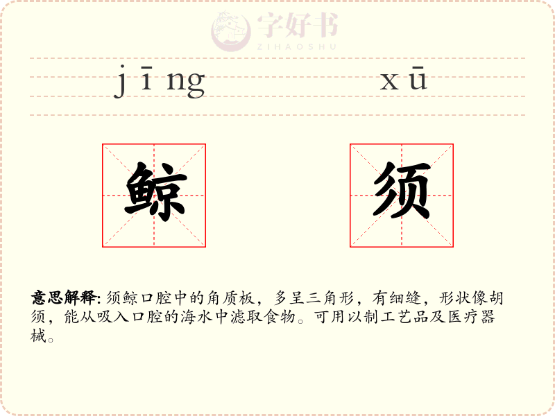 鲸须