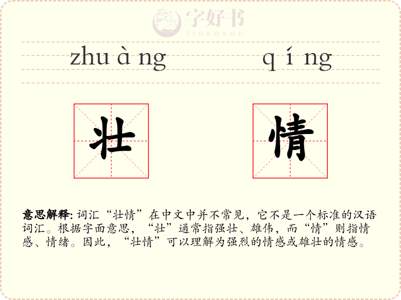 壮情