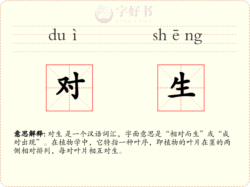 对生