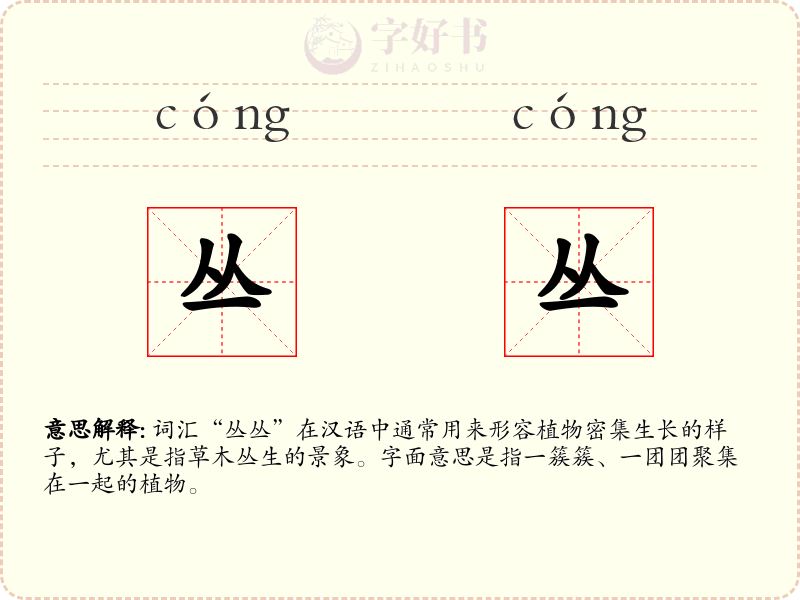 丛丛