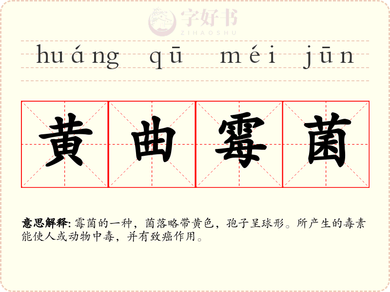 黄曲霉菌
