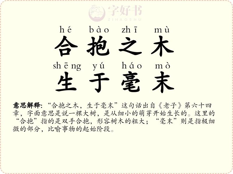 合抱之木，生于毫末