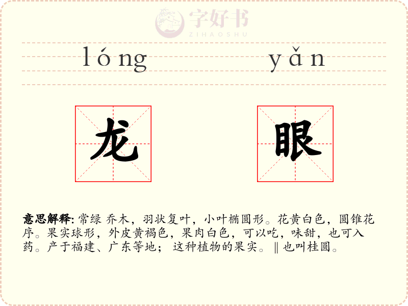 龙眼