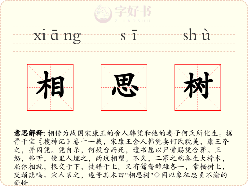 相思树