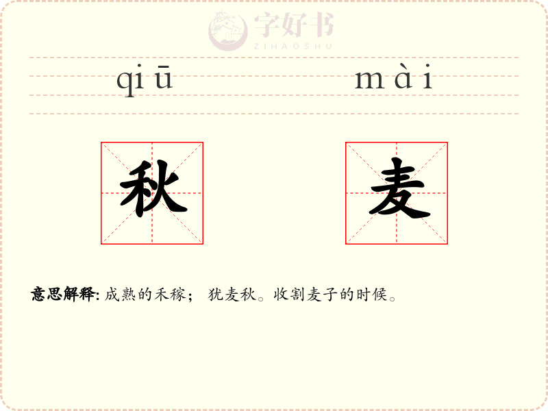 秋麦