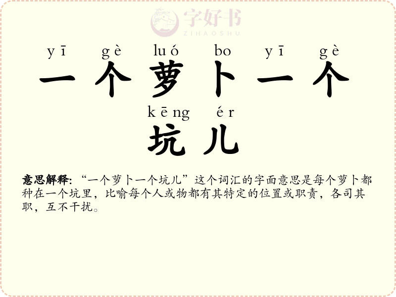 一个萝卜一个坑儿