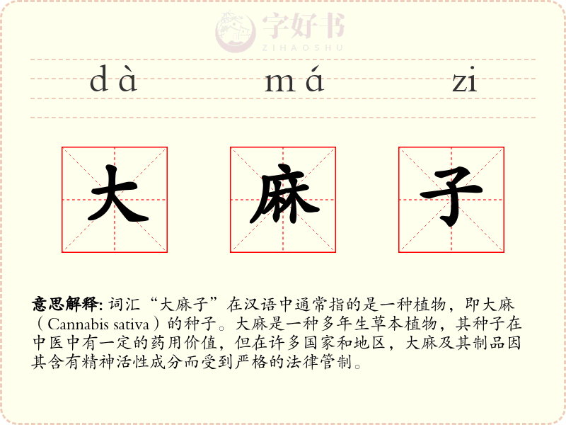 大麻子