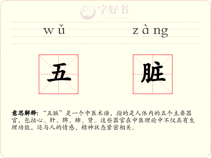 五脏