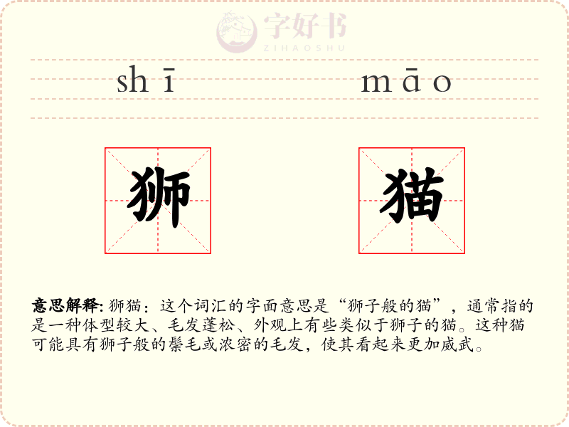狮猫