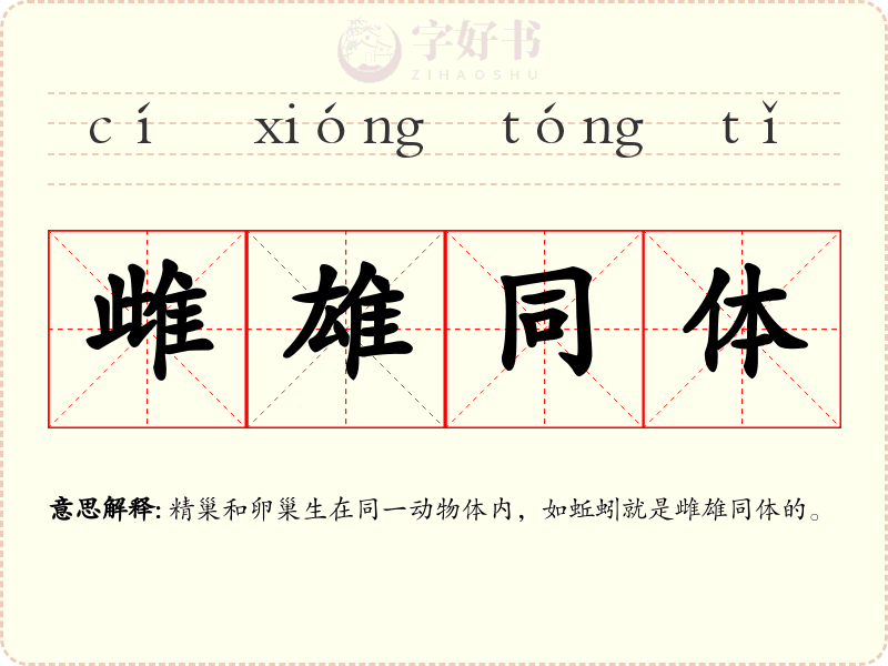 雌雄同体