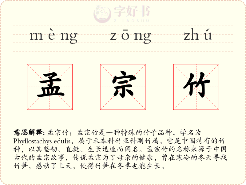 孟宗竹