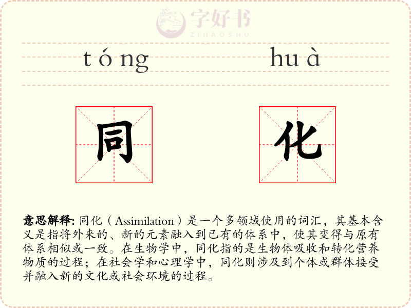 同化