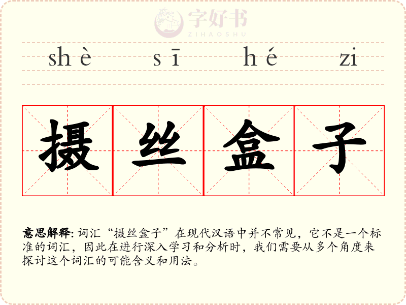 摄丝盒子