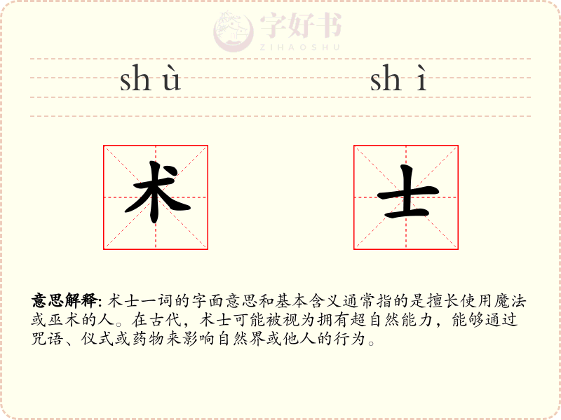 术士
