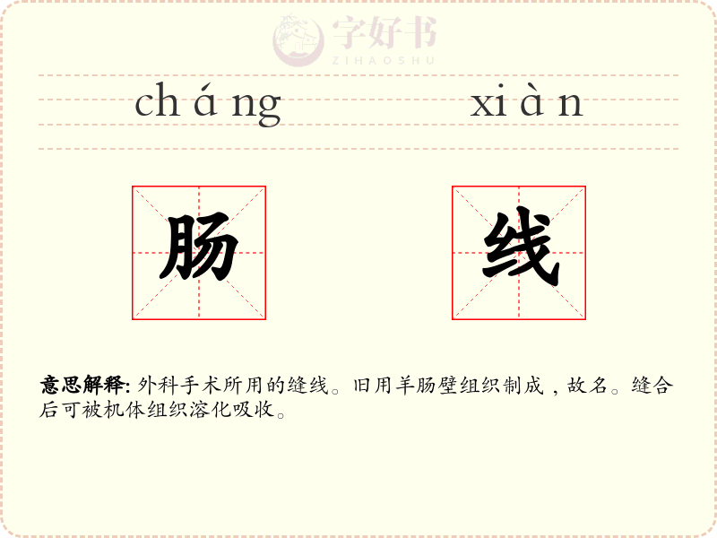 肠线