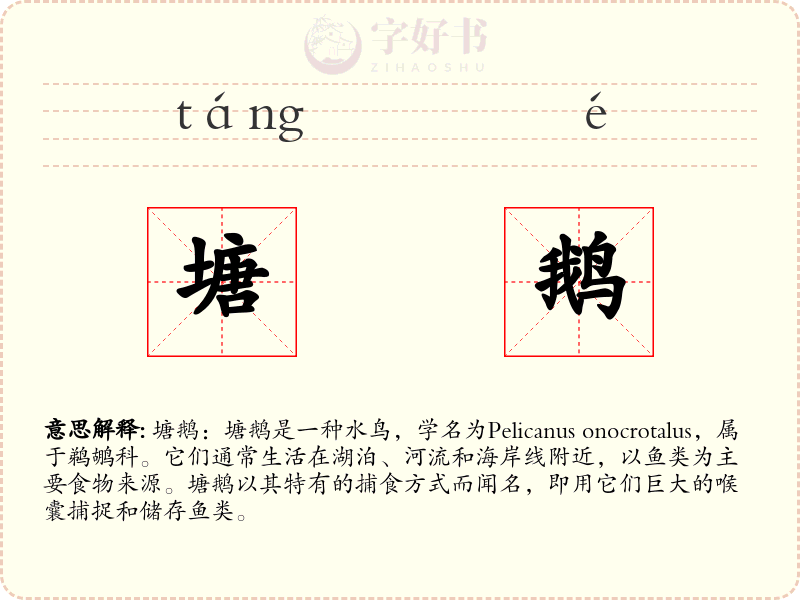 塘鹅