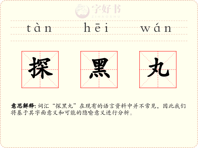 探黑丸