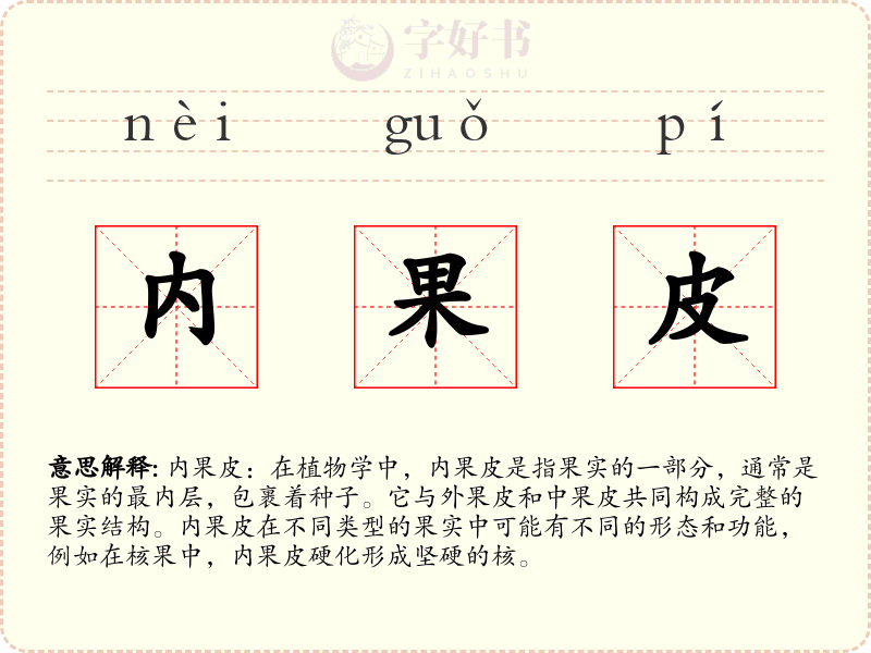 内果皮