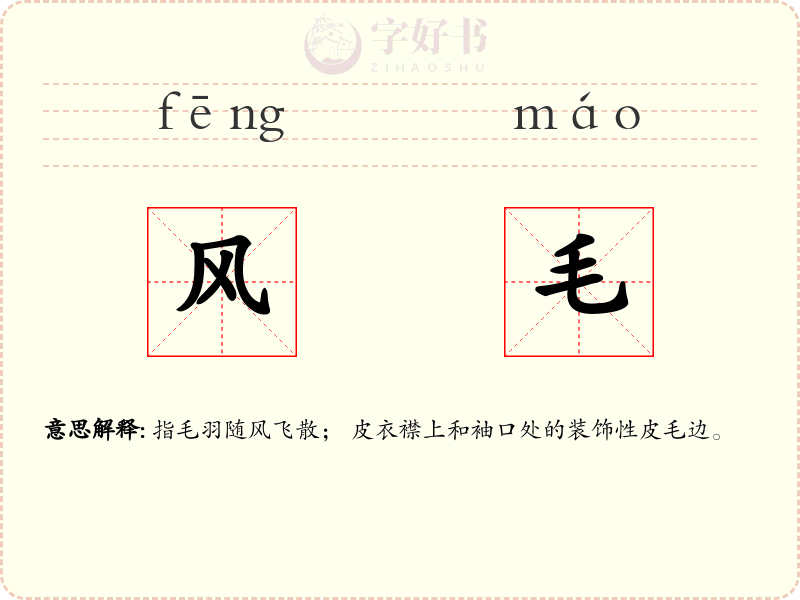 风毛