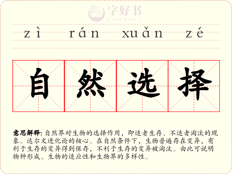 自然选择