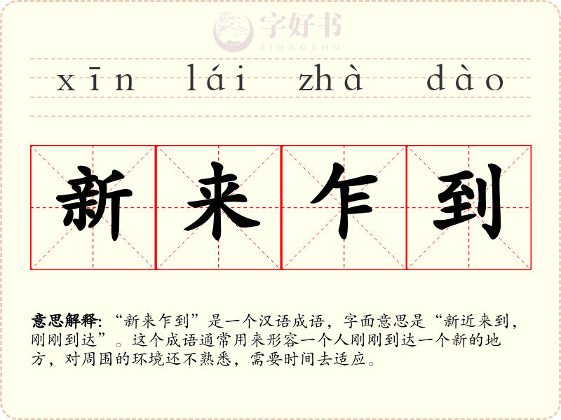 新来乍到