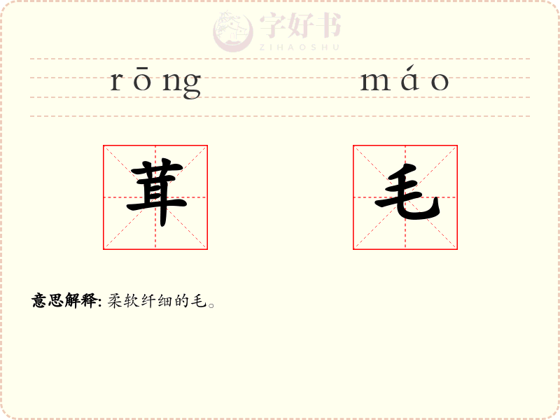 茸毛