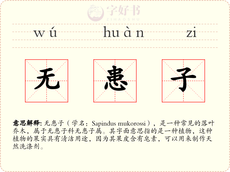 无患子