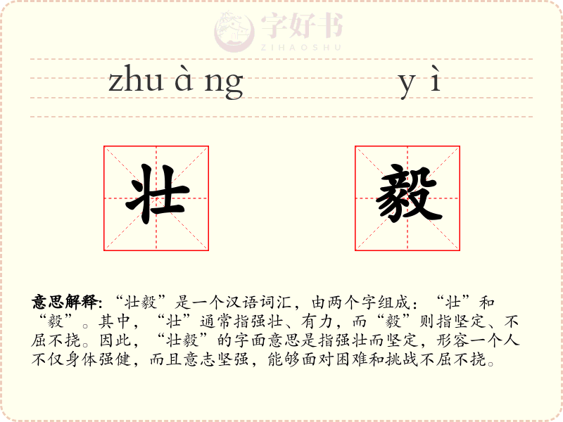壮毅