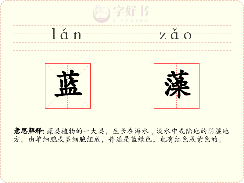 蓝藻