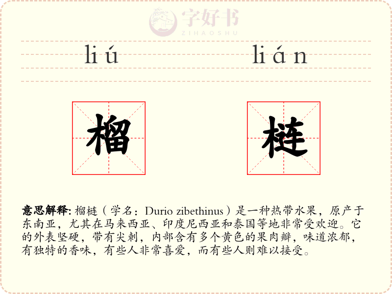 榴梿