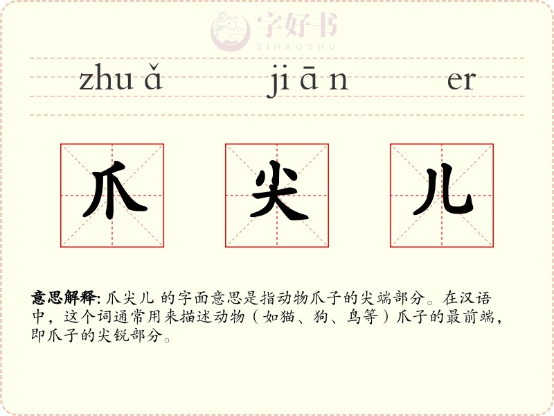 爪尖儿