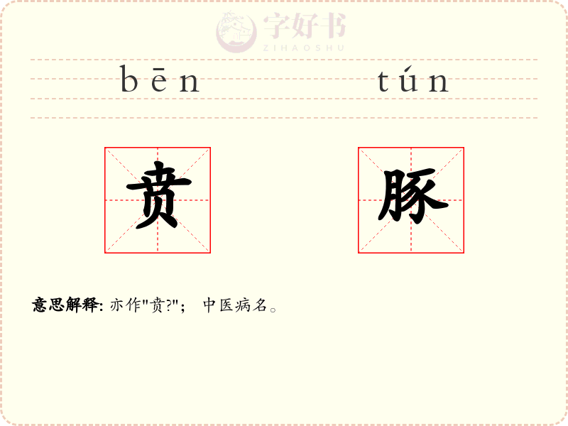 贲豚