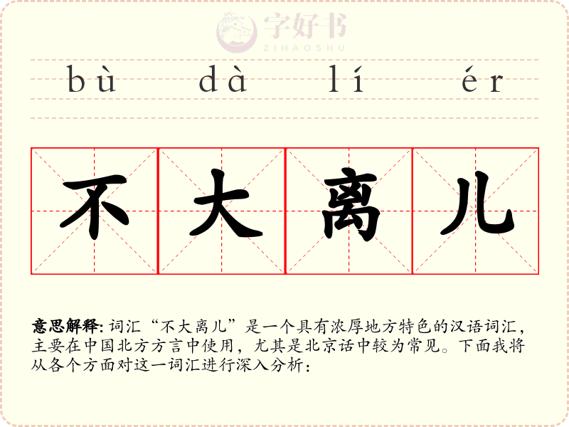 不大离儿