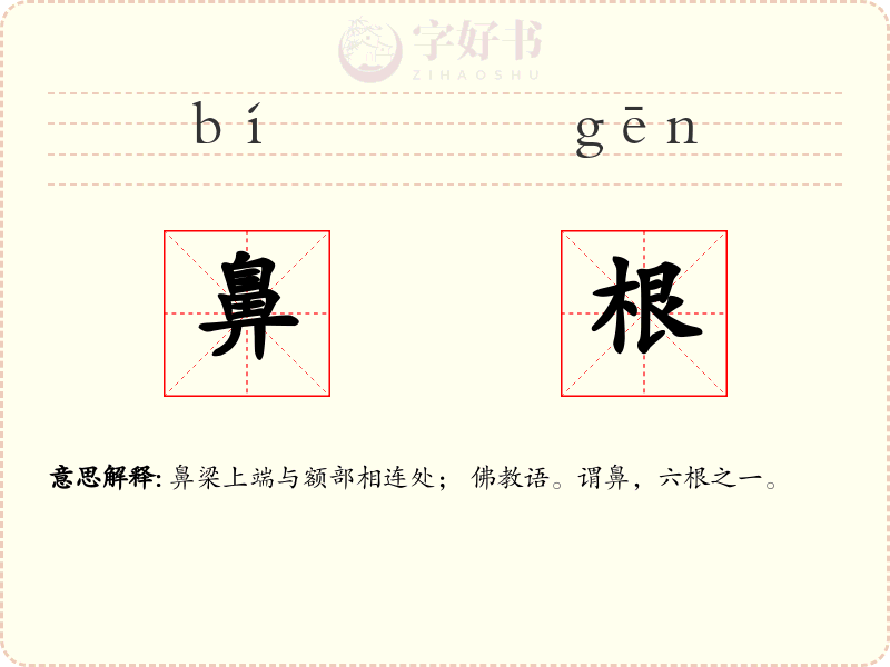 鼻根