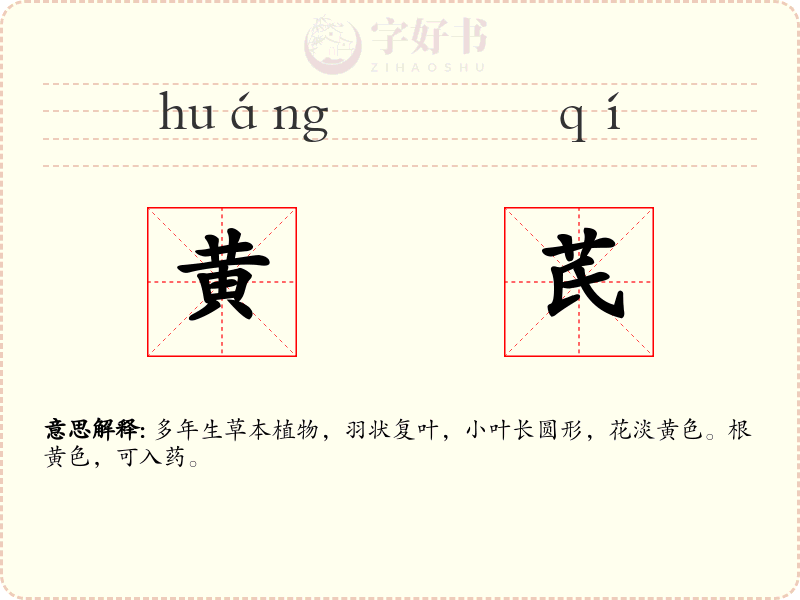 黄芪