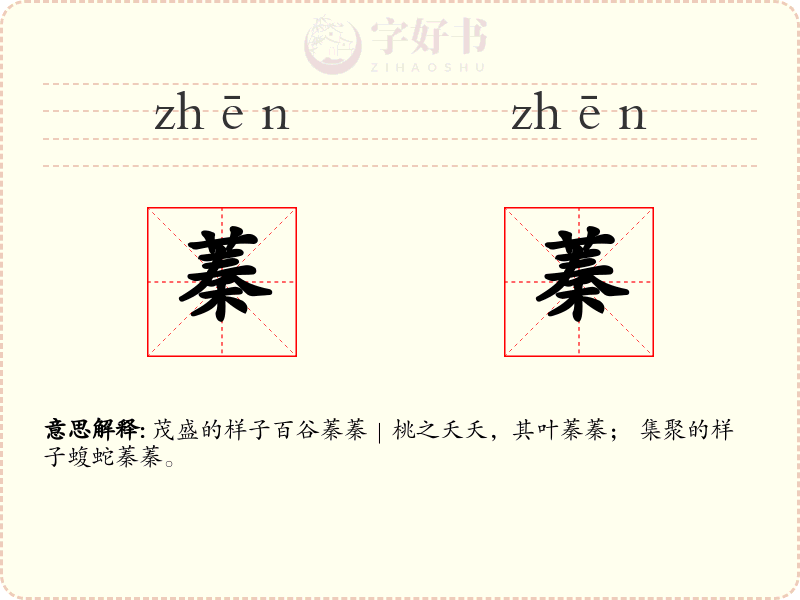 蓁蓁