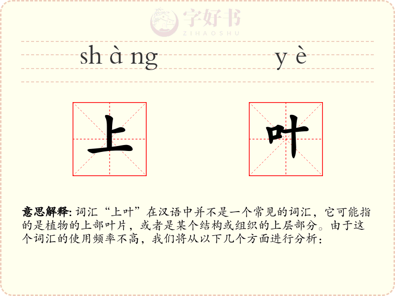 上叶