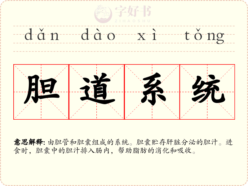 胆道系统