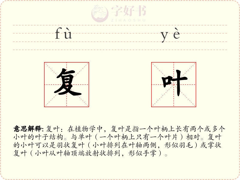 复叶