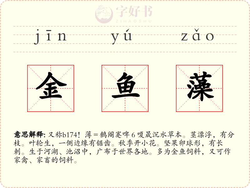 金鱼藻